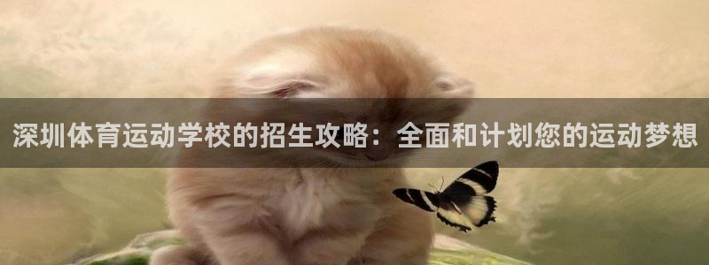 逐梦国际体育合法嘛