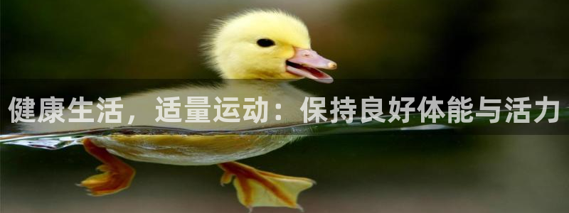 逐梦国际2平台登录