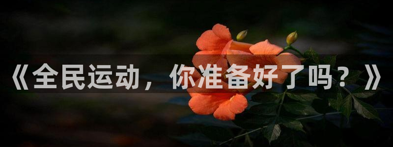 逐梦国际体育凯捷平台代理