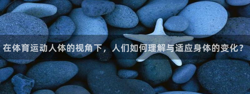 逐梦国际体育注册代理
