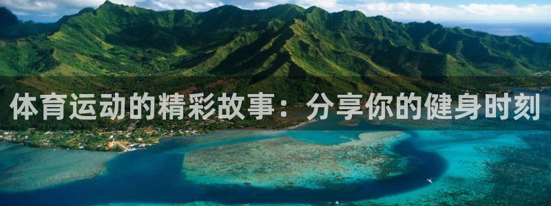 逐梦国际平台