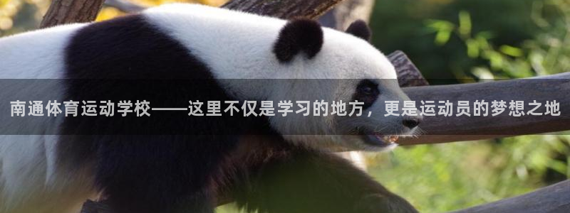 意昂
