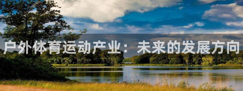 逐梦国际3代理