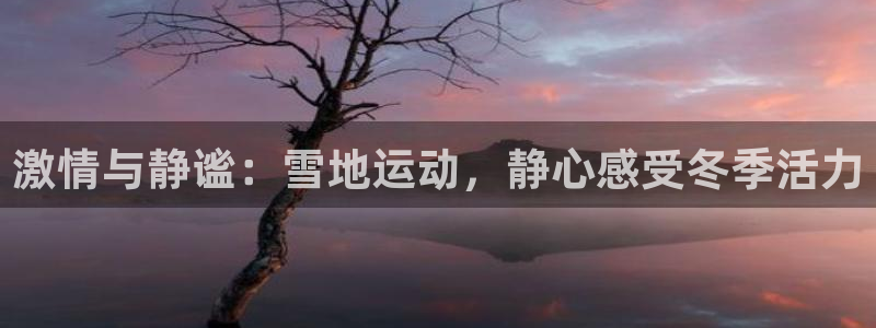 逐梦国际