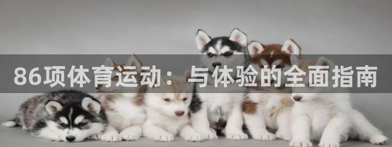 逐梦国际vk