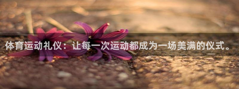 逐梦国际平台招商