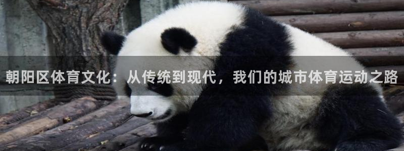 意昂5