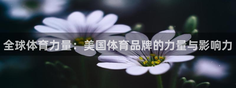 意昂扬是什么意思